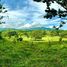  Grundstück zu verkaufen in Hojancha, Guanacaste, Hojancha, Guanacaste, Costa Rica