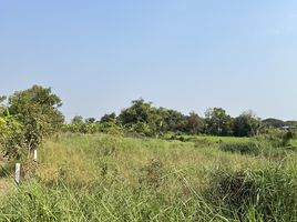 在巴吞他尼出售的 土地, Bueng Kho Hai, Lam Luk Ka, 巴吞他尼