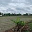  Land for sale in San Kamphaeng, Chiang Mai, Buak Khang, San Kamphaeng