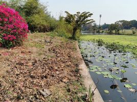  Grundstück zu verkaufen im Muang Ake Village, Lak Hok, Mueang Pathum Thani, Pathum Thani