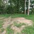  Land for sale in Chalong, Phuket Town, Chalong