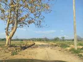  Land for sale in Doi Saket, Chiang Mai, San Pu Loei, Doi Saket