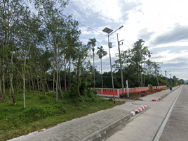 ขายที่ดิน ใน พระพรหม นครศรีธรรมราช, นาสาร