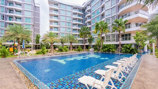 Фото 1 of the Communal Pool at Whale Marina Condo