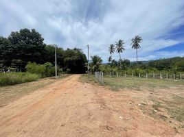  Grundstück zu verkaufen in Koh Samui, Surat Thani, Na Mueang