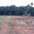  Land for sale in Khao Phanom, Krabi, Khao Din, Khao Phanom