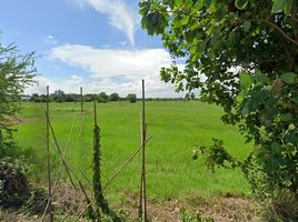  Grundstück zu verkaufen in Tha Ruea, Phra Nakhon Si Ayutthaya, Tha Luang