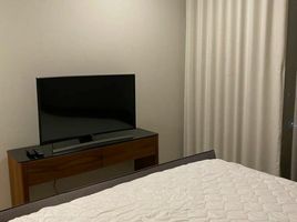 1 Schlafzimmer Wohnung zu vermieten im Noble Ploenchit, Lumphini, Pathum Wan