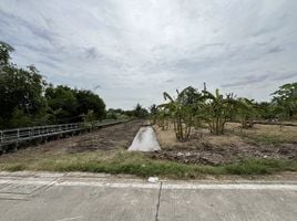  Земельный участок for sale in Airport Rail Link Station, Самутпракан, Bang Kachao, Phra Pradaeng, Самутпракан