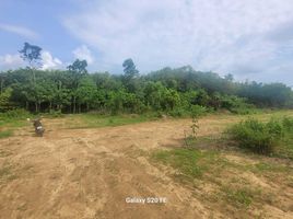  Land for sale in Thalang, Phuket, Pa Khlok, Thalang