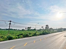  Grundstück zu verkaufen in Nikhom Phatthana, Rayong, Phana Nikhom