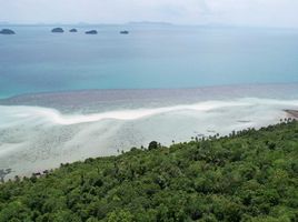  Grundstück zu verkaufen in Koh Samui, Surat Thani, Taling Ngam, Koh Samui