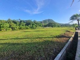  Grundstück zu verkaufen in Thalang, Phuket, Si Sunthon