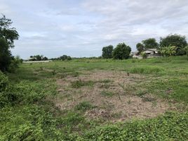  Land for sale in Nong Chok, Bangkok, Nong Chok, Nong Chok