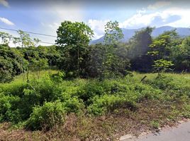  Land for sale in On Tai, San Kamphaeng, On Tai