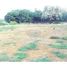  Land for sale in Karnataka, Mundargi, Gadag, Karnataka
