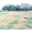  Land for sale in Mundargi, Gadag, Mundargi