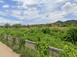  Grundstück zu verkaufen in Mueang Chiang Rai, Chiang Rai, Tha Sut, Mueang Chiang Rai