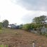  Land for sale in Phuket Town, Phuket, Rawai, Phuket Town