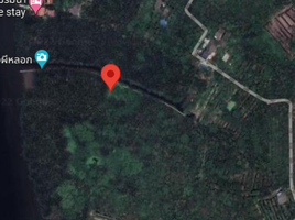  Land for sale in Bang Kachao, Phra Pradaeng, Bang Kachao