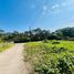  Land for sale in San Sai Luang, San Sai, San Sai Luang