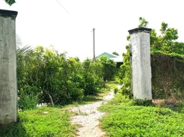  Land for sale in Vietnam, Dinh Thanh, Thoai Son, An Giang, Vietnam