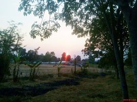  Land for sale in Nong Suea, Pathum Thani, Bueng Ba, Nong Suea