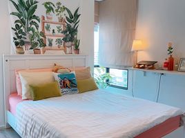 2 Schlafzimmer Wohnung zu vermieten im Knightsbridge Bearing, Samrong Nuea, Mueang Samut Prakan, Samut Prakan