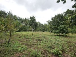  Land for sale in Chanthaburi, Pong Nam Ron, Pong Nam Ron, Chanthaburi