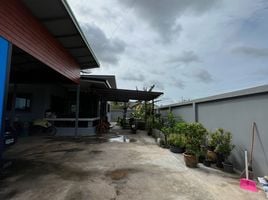 2 Schlafzimmer Haus zu verkaufen in Sattahip, Chon Buri, Phlu Ta Luang