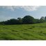  Land for sale in Bagaces, Guanacaste, Bagaces