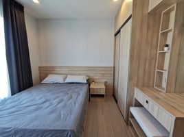 1 спален Кондо в аренду в Life Sukhumvit 62, Bang Chak