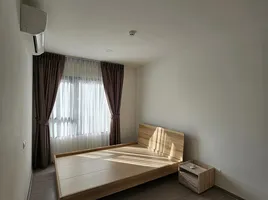 1 Schlafzimmer Wohnung zu vermieten im Aspire Sukhumvit-Onnut , Suan Luang, Suan Luang