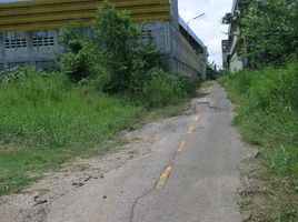  Grundstück zu verkaufen in Pran Buri, Prachuap Khiri Khan, Khao Noi