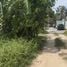  Land for sale in Koh Samui Surat Thani, Bo Phut