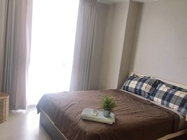 3 Bedroom House for rent at Graceland, San Klang, San Pa Tong, Chiang Mai