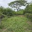  Land for sale in Hua Hin Prachuap Khiri Khan, Thap Tai