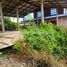  Land for sale in Khlong Yong, Nakhon Pathom, Khlong Yong, Phutthamonthon
