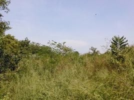  Land for sale in Na Klang, Sung Noen, Na Klang