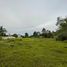  Land for sale in Bang Tao Beach, Choeng Thale, Choeng Thale