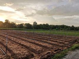 3 Schlafzimmer Haus zu verkaufen in Tha Muang, Kanchanaburi, Thung Thong