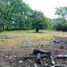  Land for sale in Nicoya Guanacaste, Nicoya, Guanacaste