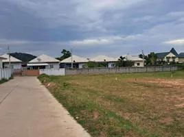  Land for sale in Pattaya Chon Buri, Nong Prue, Pattaya, Chon Buri, Thailand