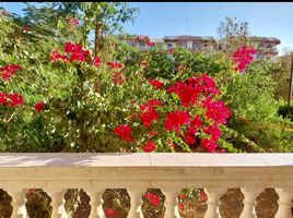 1 Bedroom Apartment for sale at Sunny Home, Hurghada Resorts, Hurghada, Red Sea