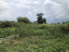  Land for sale in Khok Faet, Nong Chok, Khok Faet