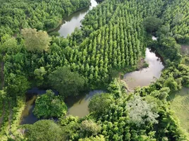  Land for sale in Lom Kao Phetchabun, Ban Noen
