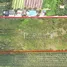  Grundstück zu verkaufen in Khlong Tan, Samut Sakhon, Khlong Tan