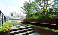 Фото 1 of the Communal Garden Area at The Lofts Asoke