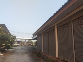  Grundstück zu verkaufen in Mae Chan, Chiang Rai, Pa Sang, Mae Chan, Chiang Rai