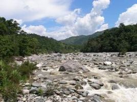  Land for sale in Atlantida, La Ceiba, Atlantida